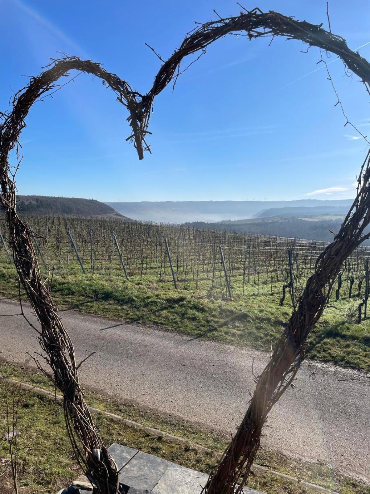 Fewo Waldblick - Urlaub Im Wein & Ferienort Bekond Exterior photo